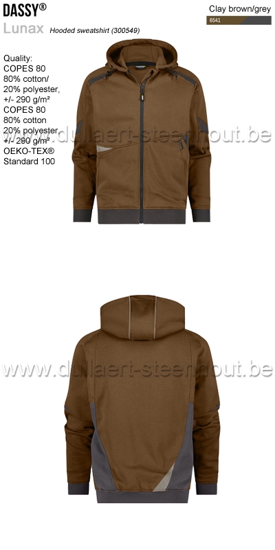 DASSY® Lunax (300549) Sweat-shirt à capuche - brun/gris
